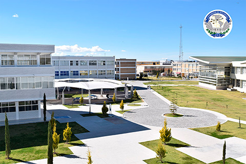 Segemex Arquitectura